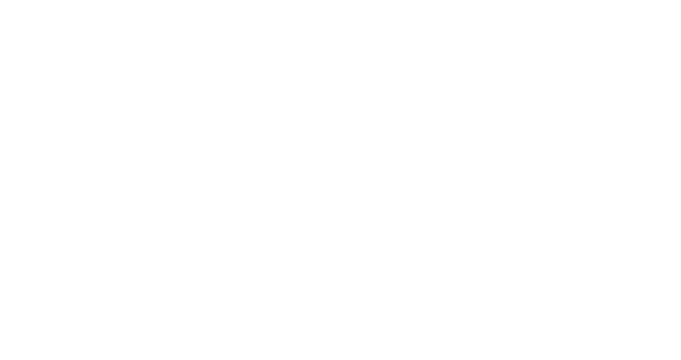 bild logo