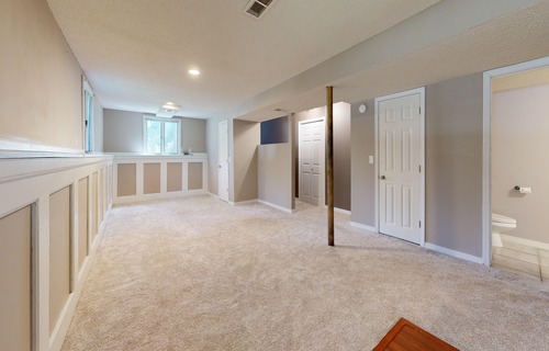 Services basement renovation